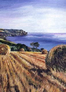 The Hay field - SOLD