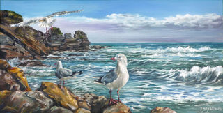 West Coast Gulls 