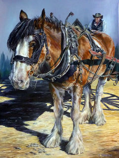 The Clydesdale