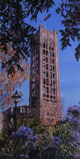 Nelson Cathedral