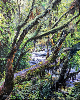 The Riwaka Source