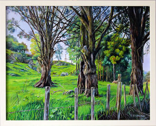 Riwaka Valley - $890