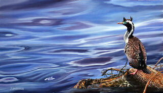 Shag on a Log - $805