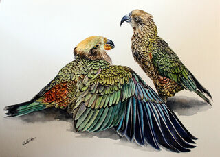 Feeding Time - SOLD